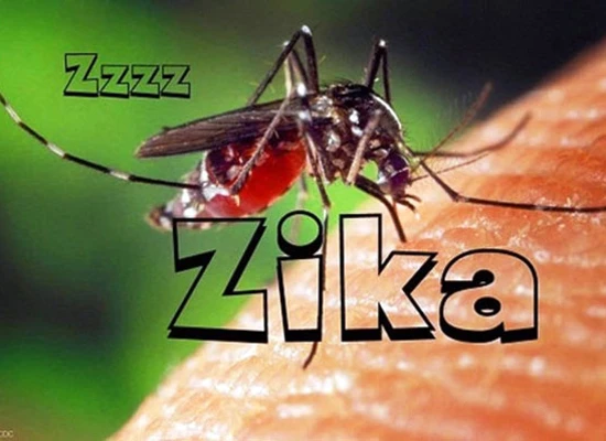 Bệnh nhân nhiễm virus Zika tại TPHCM tiếp tục tăng