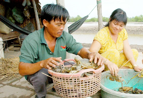 Nông thôn mới và nông dân sản xuất kinh doanh giỏi