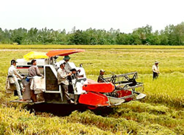 Lúng túng trong tạo nguồn, bồi dưỡng nông dân giỏi vào Đảng