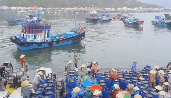 Đóng cửa cảng cá Vĩnh Trường vì không an toàn