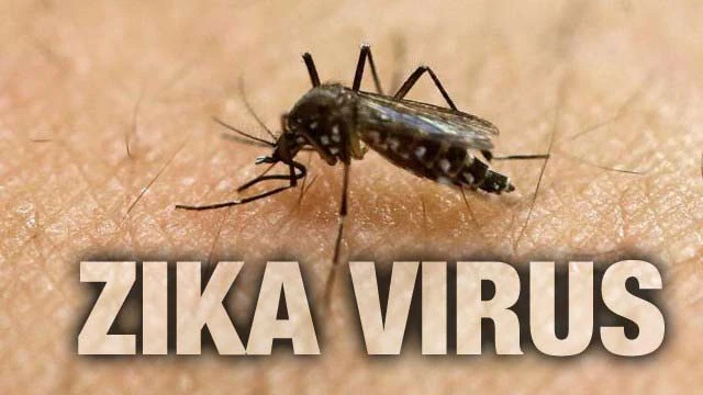 Nhiệt độ thấp sẽ ngăn cản lây lan virus Zika