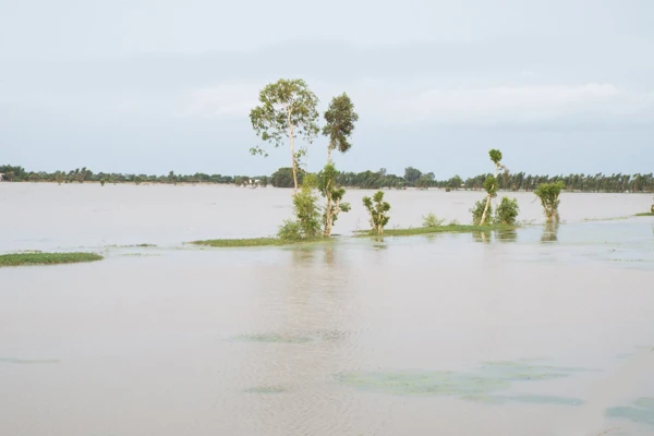 Mộc Hóa, mùa lũ về