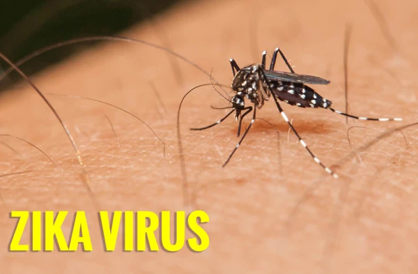 Bình Dương: Thêm hai trường hợp dương tính với virus Zika