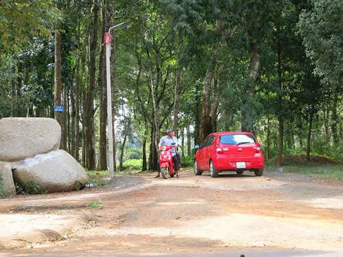 Làm đường trái phép trong rừng phòng hộ