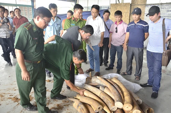 Lập doanh nghiệp “ma” để buôn lậu