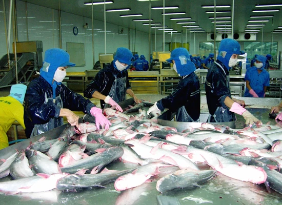 Cá tra Việt Nam có mặt ở 140 thị trường trên thế giới