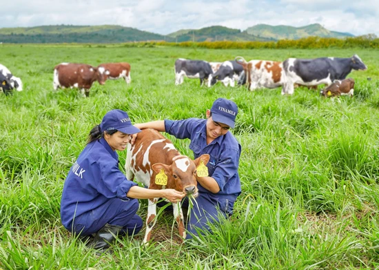 Việt Nam sản xuất thành công sản phẩm organic đạt tiêu chuẩn Châu Âu