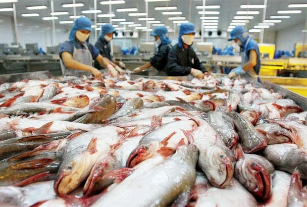 4 thị trường xuất khẩu đạt hơn 10 tỷ USD của Việt Nam