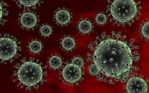 Cảnh báo nguy cơ dịch cúm gia cầm bùng phát đầu năm