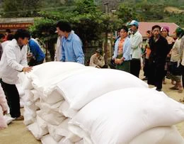 Xuất cấp gạo cho tỉnh Gia Lai, Đắk Lắk