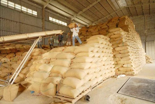 Việt Nam tiếp tục bán 1,5 triệu tấn gạo mỗi năm cho Philippines