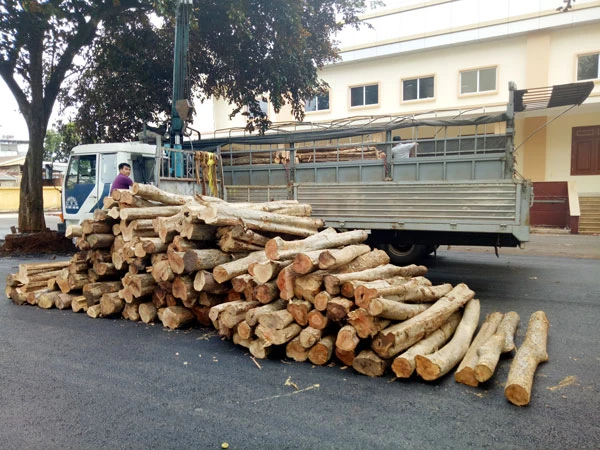 Đắk Lắk: Bắt xe tải chở gỗ lậu về TPHCM tiêu thụ