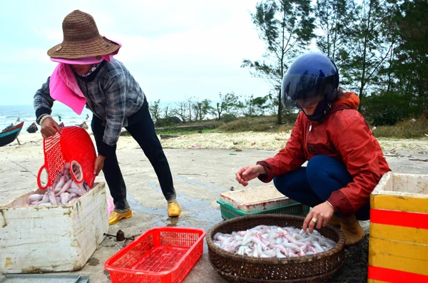 Ngư dân trúng “lộc biển” đầu xuân