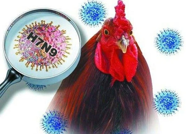 Cảnh giác nguy cơ virus cúm đột biến nguy hiểm hơn