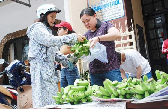 Cứu chuối