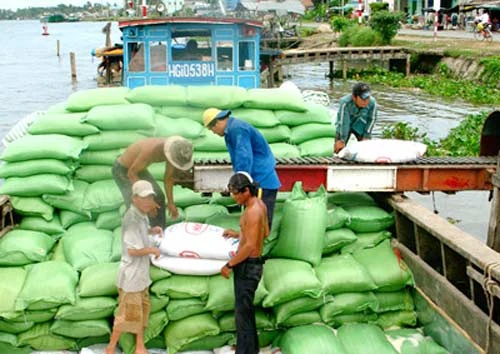 Gian nan cạnh tranh xuất khẩu gạo