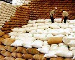 Philippines tiếp tục nhập gạo Việt Nam