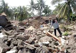Số nạn nhân sóng thần đã lên đến 525 người