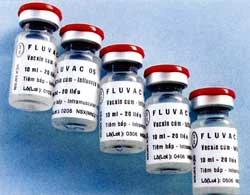 Thử nghiệm vắcxin ngừa cúm A H5N1