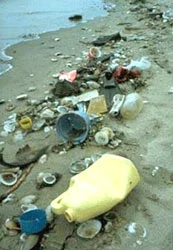 Puerto Rico: Khủng hoảng nơi đổ rác