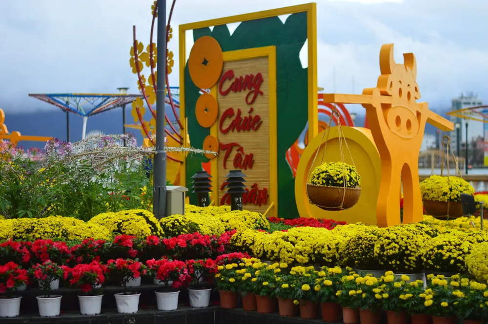 Đường hoa xuân Đà Nẵng những ngày tết ảnh 3 Đường hoa xuân Đà Nẵng những ngày tết ảnh 3