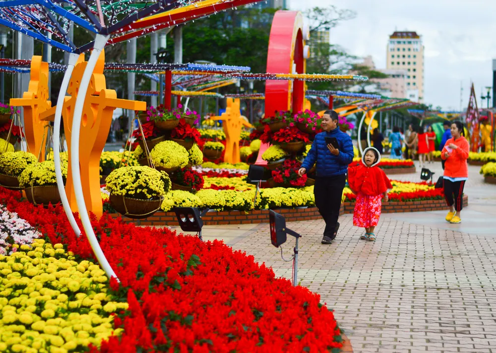 Đường hoa xuân Đà Nẵng những ngày tết ảnh 10 Đường hoa xuân Đà Nẵng những ngày tết ảnh 10