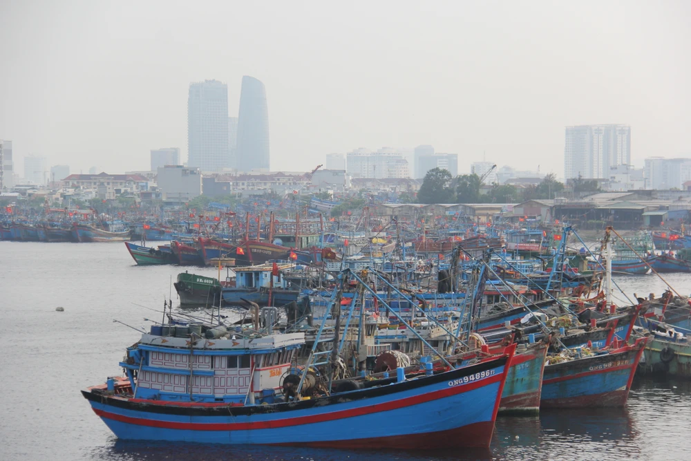 Âu thuyền và cảng cá Thọ Quang (quận Sơn Trà, TP Đà Nẵng) là cảng cá lớn nhất miền Trung. Ảnh: XUÂN QUỲNH