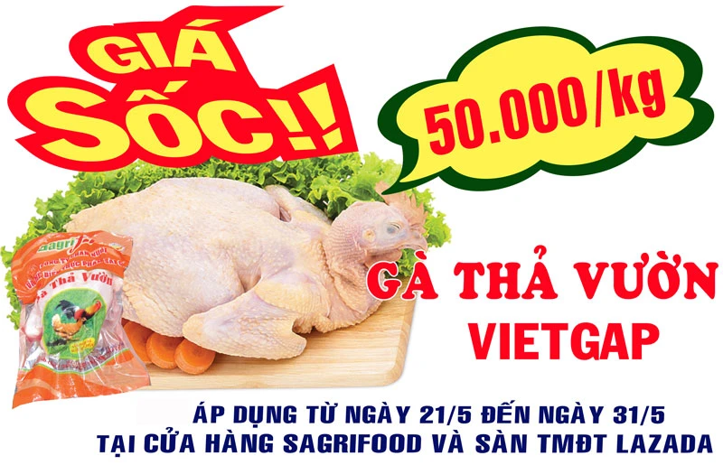 Giá Sốc Gà thả vườn VietGAP 50.000 đồng/kg