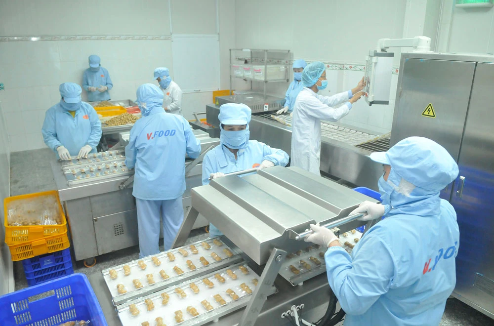 Chế biến trứng cút phá lấu tại Công ty CP Thực phẩm Vĩnh Thành Đạt. Ảnh: CAO THĂNG