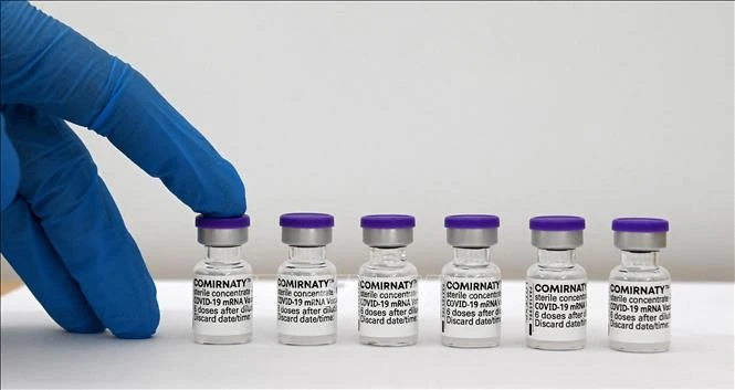 Vaccine ngừa Covid-19 của Pfizer-BioNTech. Ảnh: AFP/TTXVN