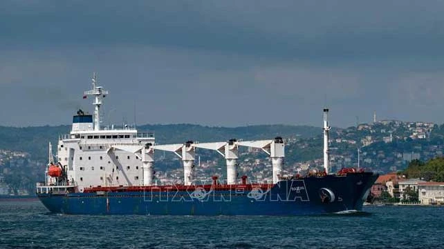 Tàu Razoni mang cờ Sierra Leon chở 26.000 tấn ngũ cốc của Ukraine di chuyển dọc Eo biển Bosphorus qua Istanbul, Thổ Nhĩ Kỳ ngày 3-8-2022. Ảnh: AFP/TTXVN