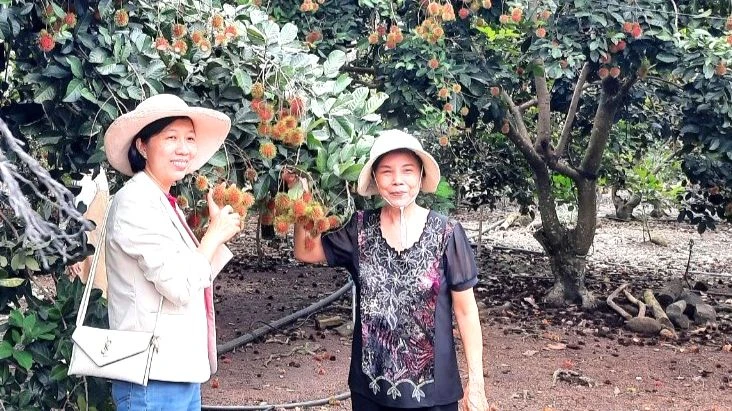 Du khách tham quan vườn trái cây tại xã Bình Lộc, TP Long Khánh