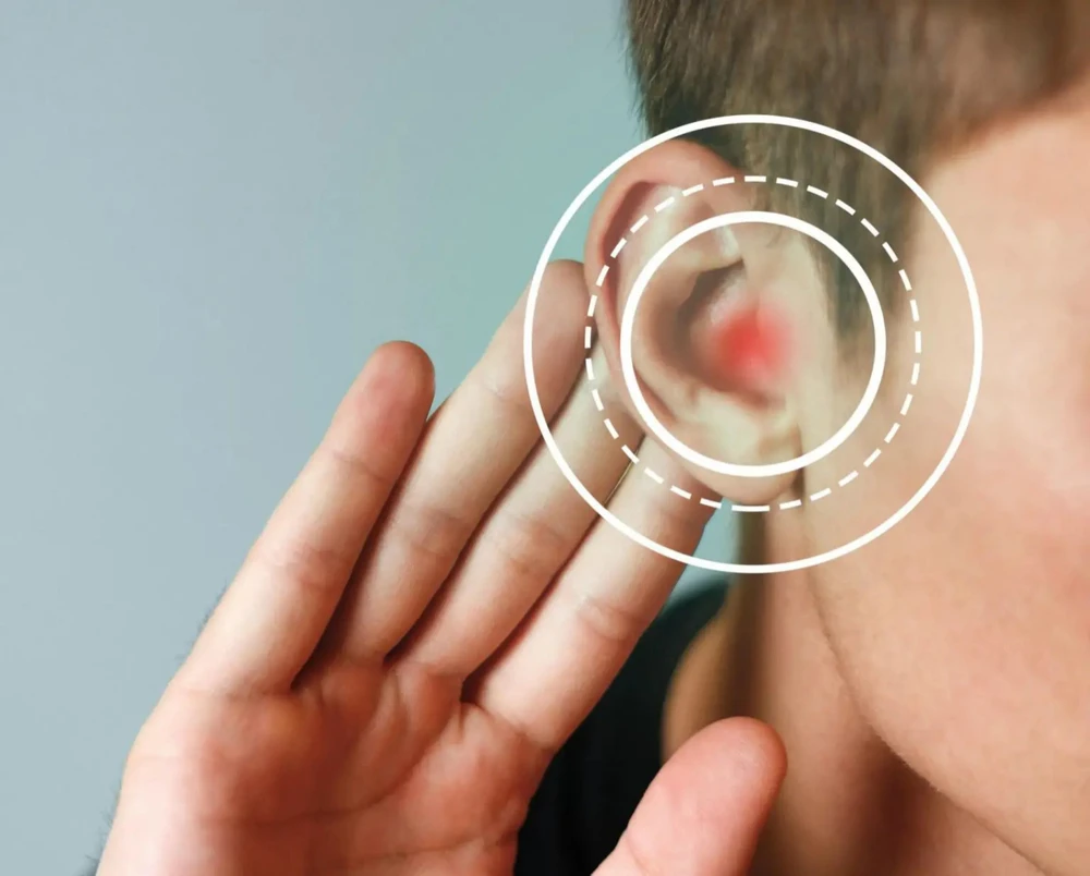 Phát hiện mTORC2 trong tai người mở ra hướng điều trị điếc