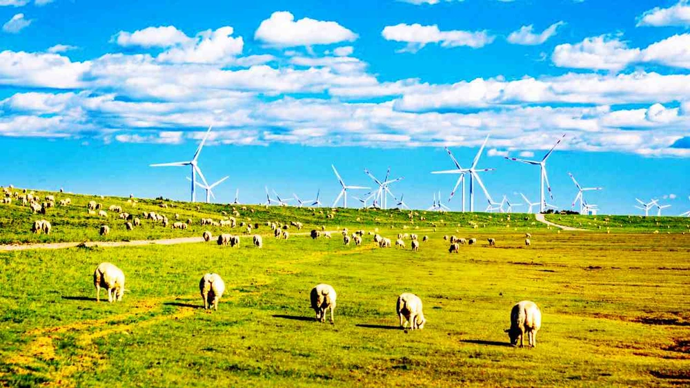 Một trang trại điện gió tại Đức. Ảnh: ALAMY STOCK PHOTO
