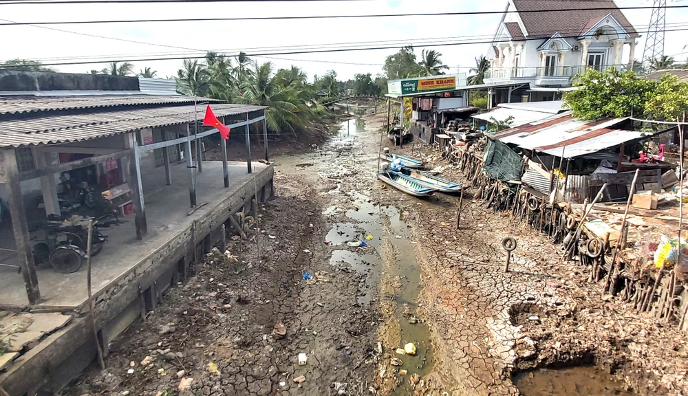 Kênh mương trong vùng ngọt hóa huyện Trần Văn Thời (tỉnh Cà Mau) bị khô cạn. Ảnh: TẤN THÁI