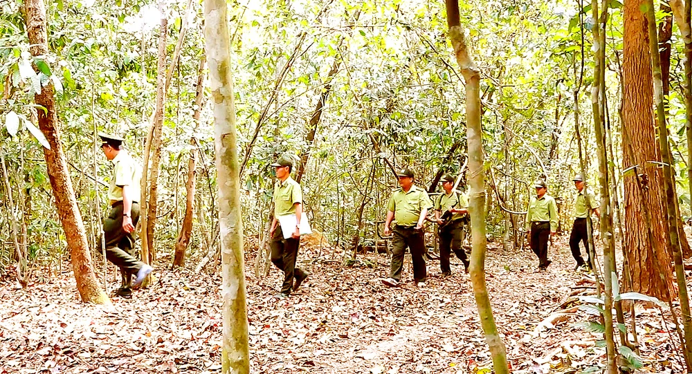Lực lượng chức năng kiểm tra các vị trí có nguy cơ cháy rừng tại Khu bảo tồn thiên nhiên - văn hóa Đồng Nai