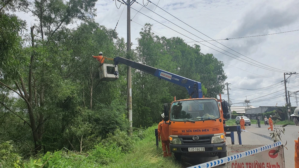 Nhân viên EVNHCMC mé nhánh cây xanh để ngăn ngừa sự cố lưới điện trong mùa mưa bão