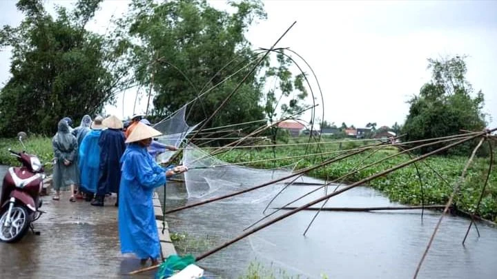 Người dân thả vó bắt cá đồng mùa lụt