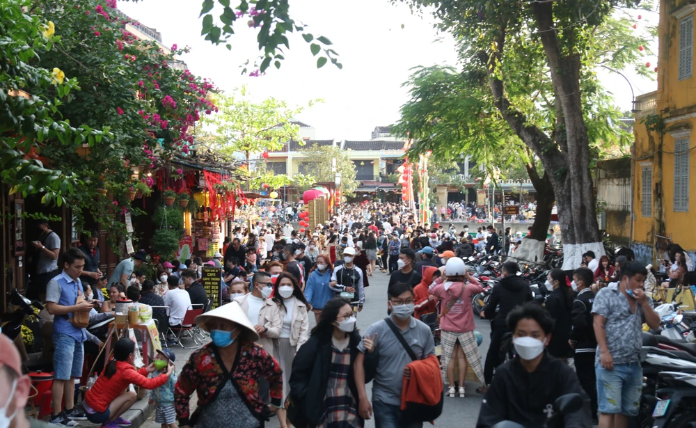 Quảng Nam kiên quyết xử lý tình trạng tổ chức tour du lịch "chui", trốn thuế