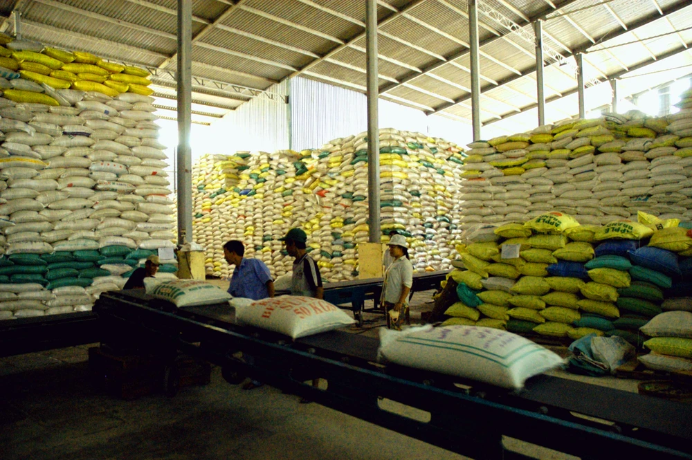 Giá gạo 5% tấm của Việt Nam đang dẫn đầu trên thị trường xuất khẩu