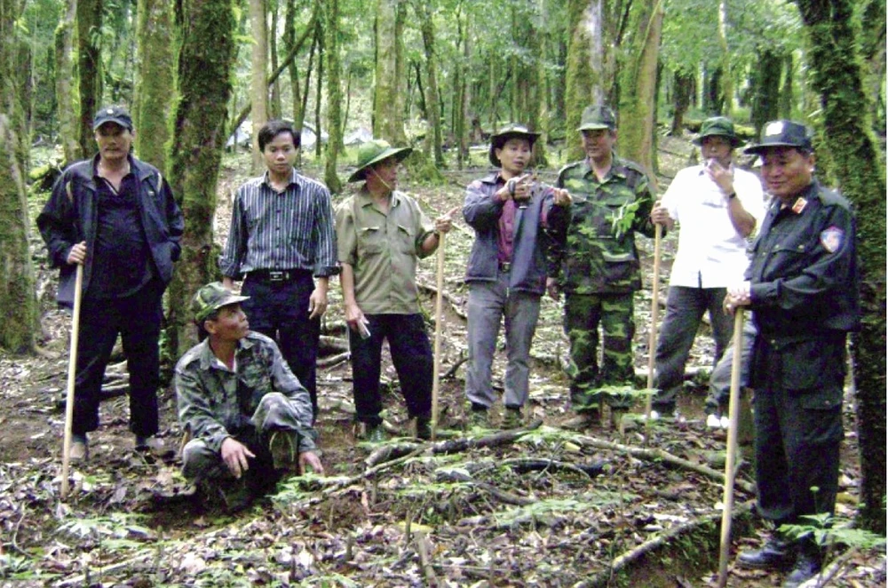 Ông Trần Hoàn (áo sọc thứ 2 từ trái qua) Chủ tịch HĐQT Công ty Cổ phần Sâm Ngọc Linh Kon Tum