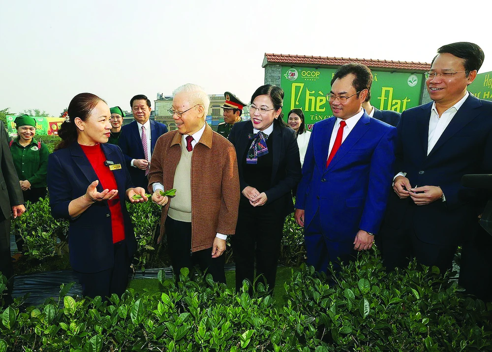 Tổng Bí thu Nguyễn Phú Trọng thăm vườn chè của Hợp tác xã Hảo Đạt, TP Thái Nguyên. Ảnh: TTXVN
