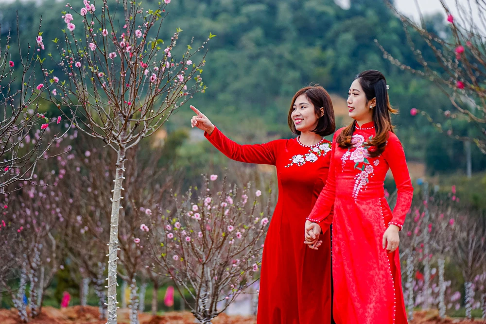  “Kỳ hoa xứ Lạng - Sắc màu biên cương” - dấu ấn Lễ hội mùa Xuân độc đáo miền Đông Bắc 