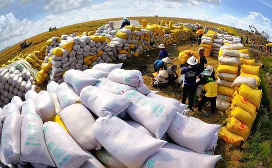 Việt Nam xuất khẩu 1,5 triệu tấn gạo sang Philippines