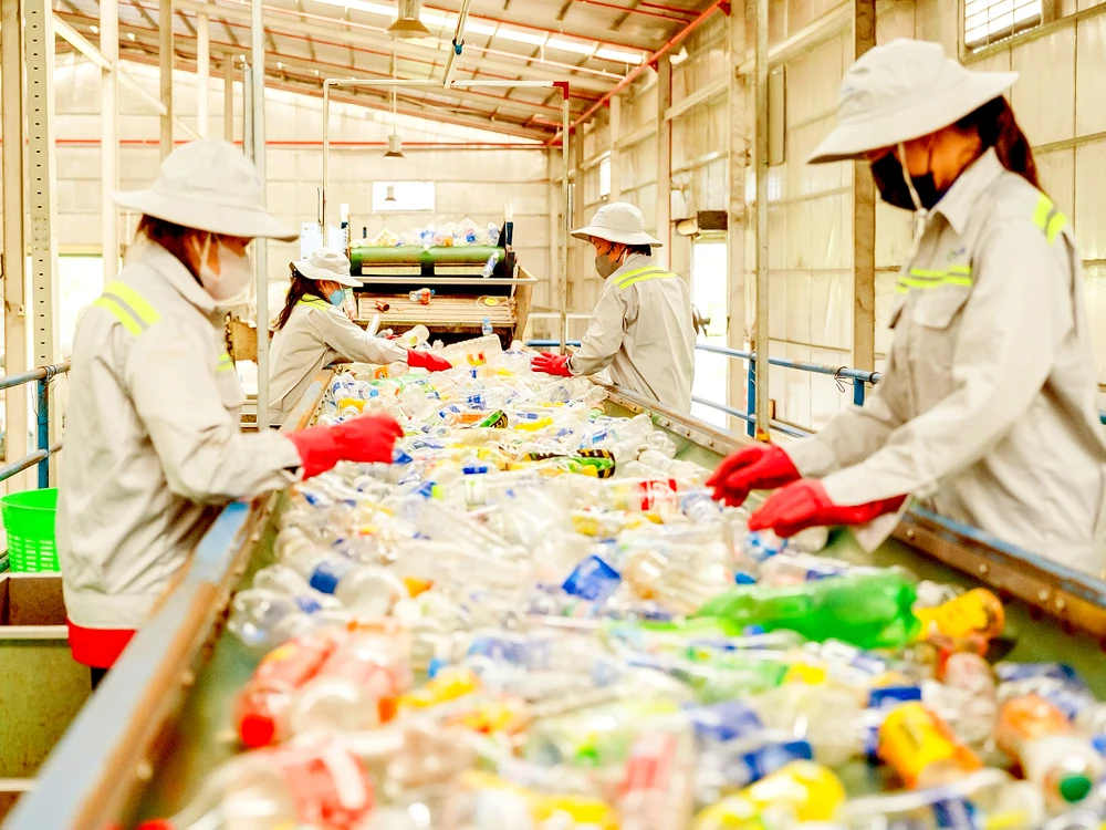 Công nhân phân loại chai nhựa đầu vào tại một trạm thu gom vệ tinh. Ảnh: PHI VÂN