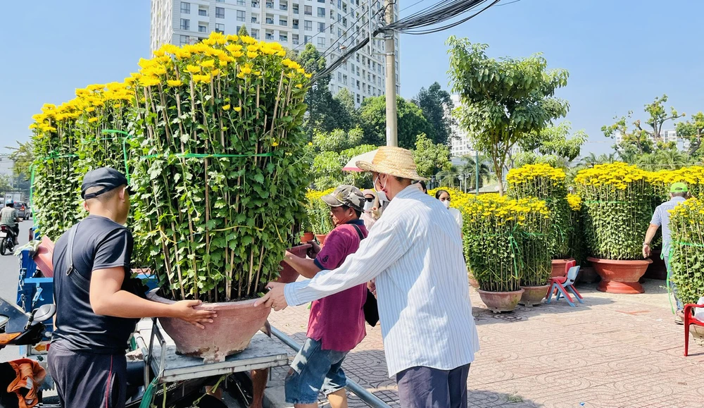 Cúc đại đóa Khánh Hòa bán tại Công viên Gia Định, được xe chuyên chở đến nhà người mua (ảnh chụp trưa 30-1)
