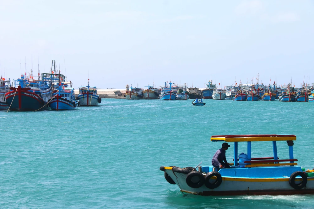 Triển khai các biện pháp chống IUU hiệu quả, ngư dân Bình Thuận an tâm vươn khơi bám biển
