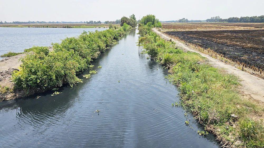 Điều tra nguyên nhân ô nhiễm các dòng kênh giáp ranh giữa Long An và Tiền Giang