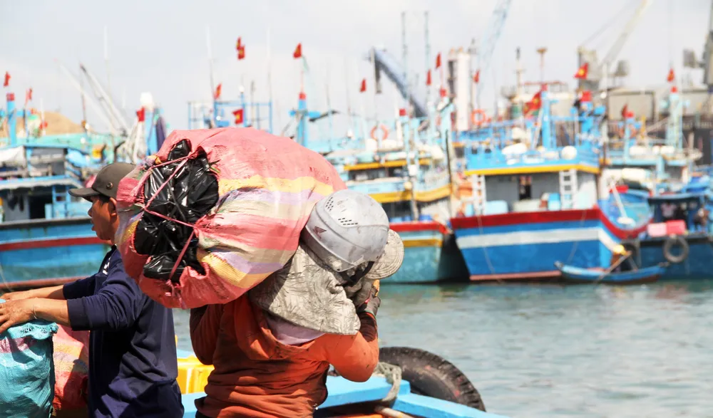 Các lao công ở cảng cá Quy Nhơn khuân vác hàng hóa giúp người dân trên đảo Nhơn Châu nhon-chau-6-6600.jpg