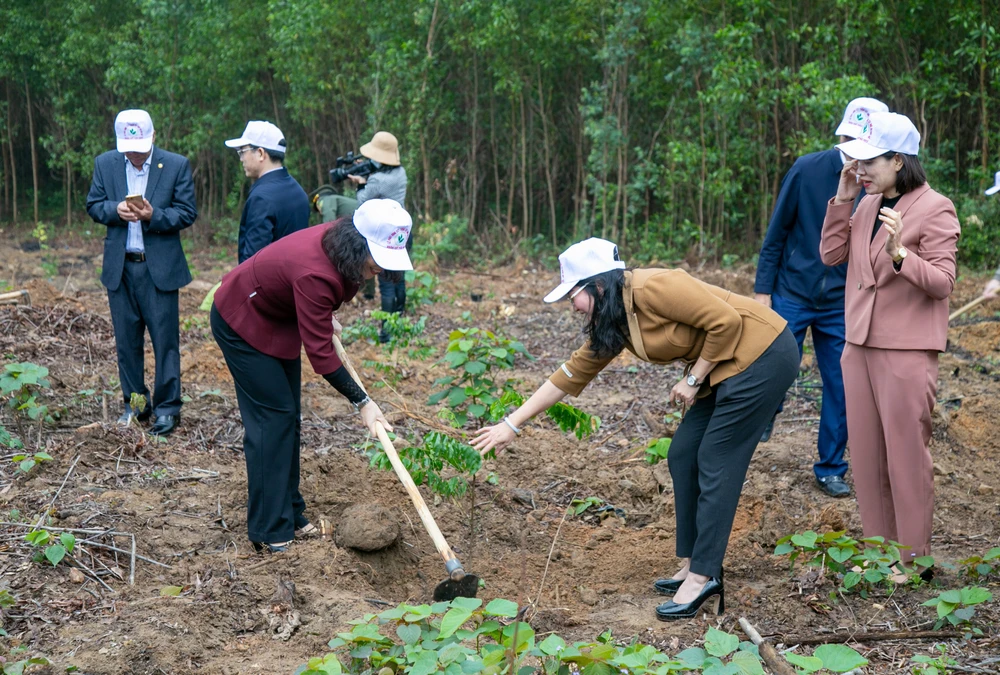 Năm 2023, Quảng Bình sẽ trồng 9000ha rừng
